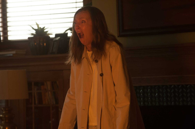 Hereditary - Ein düsteres Meisterwerk des Horrors (Photo 5)