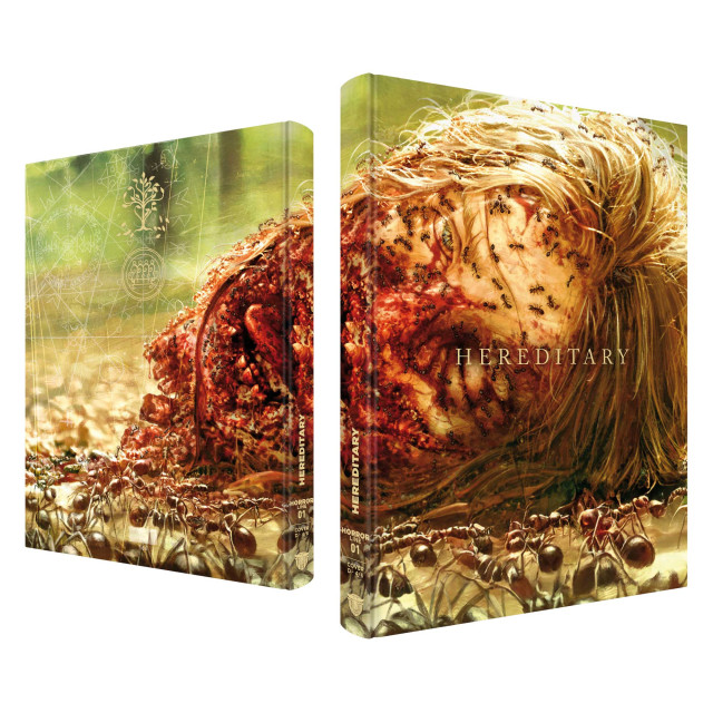 Hereditary - Mediabook - Cover D (Image 3 / Shop Art-No. 90008-D) | mediabook.shop