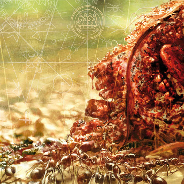 Hereditary - Mediabook - Cover D (Image 8 / Shop Art-No. 90008-D) | mediabook.shop