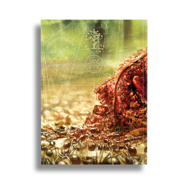 Hereditary - Mediabook - Cover D (Image 5 / Shop Art-No. 90008-D) | mediabook.shop