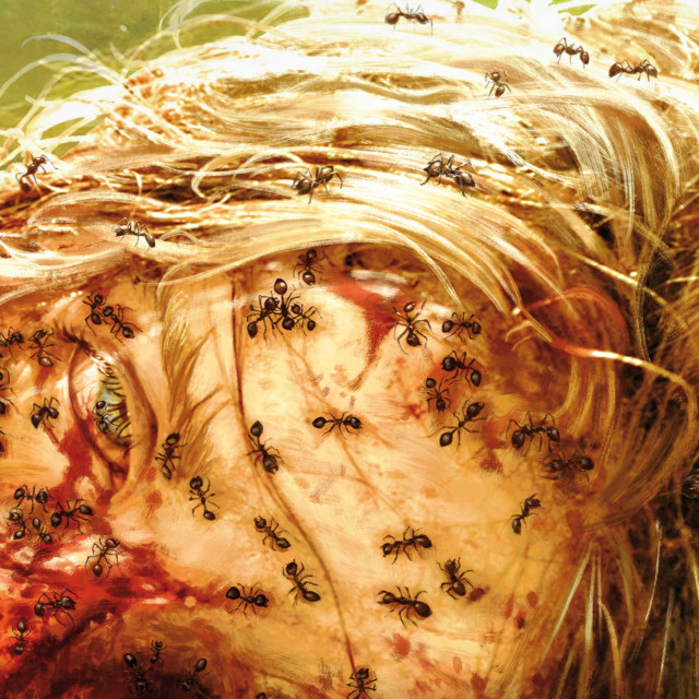 Hereditary - Mediabook - Cover D (Image 7 / Shop Art-No. 90008-D) | mediabook.shop