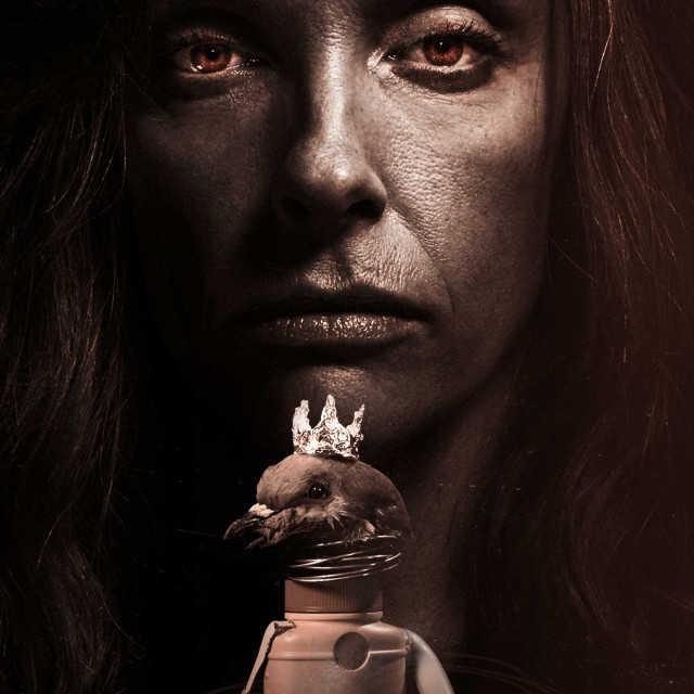 Hereditary - Mediabook - Cover E (Image 8 / Shop Art-No. 90008-E) | mediabook.shop