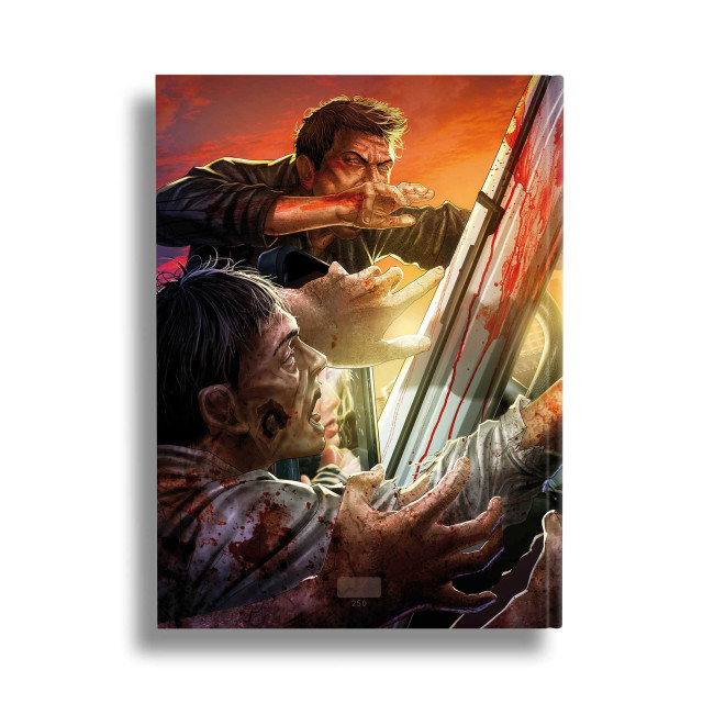 Peninsula - Mediabook - Cover A (Image 5 / Shop Art-No. 90005-A) | mediabook.shop